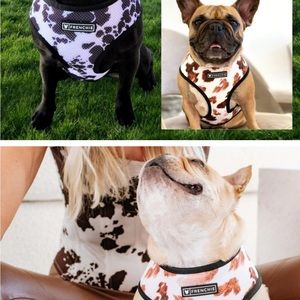 Frenchie Reversible health harness and leash.  Moo pattern size Large